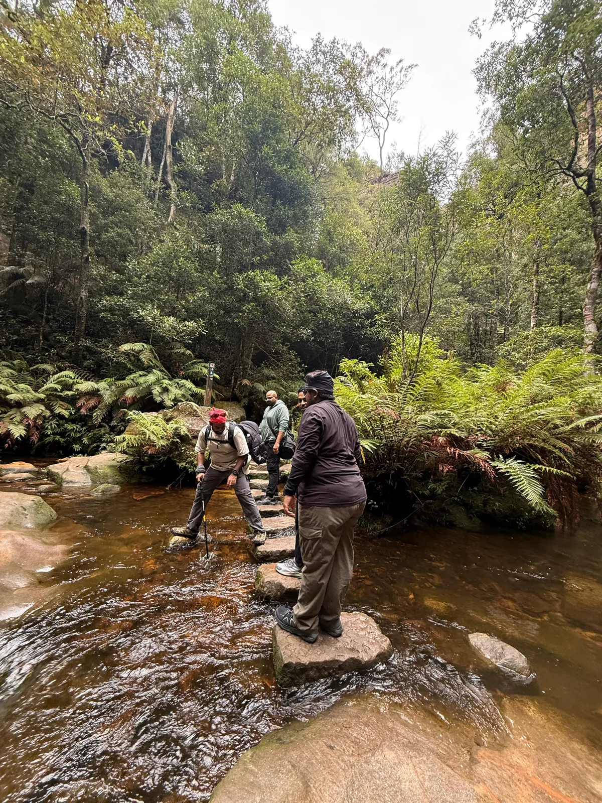 Hikers crossing a rocky stream in the forest
